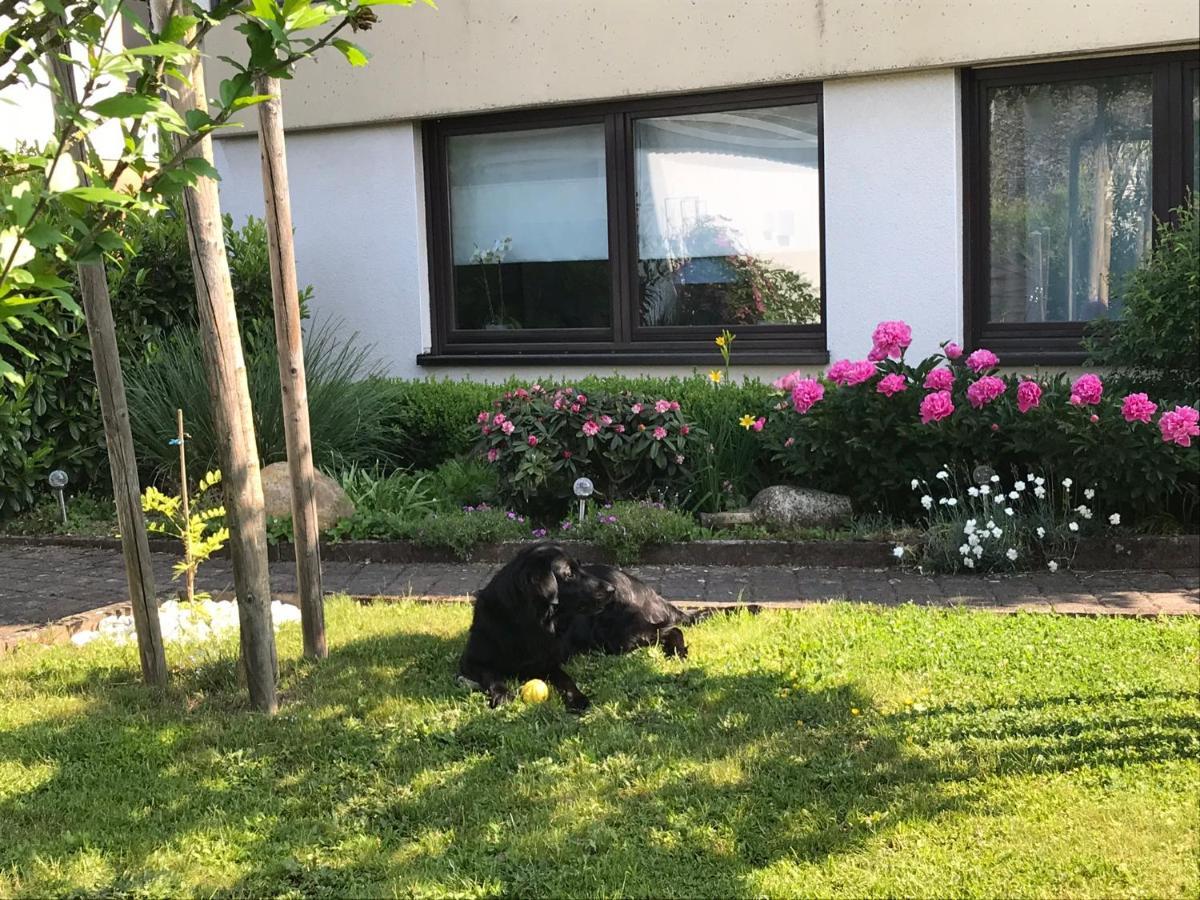 Ferienwohnung Vogt Kasel Экстерьер фото